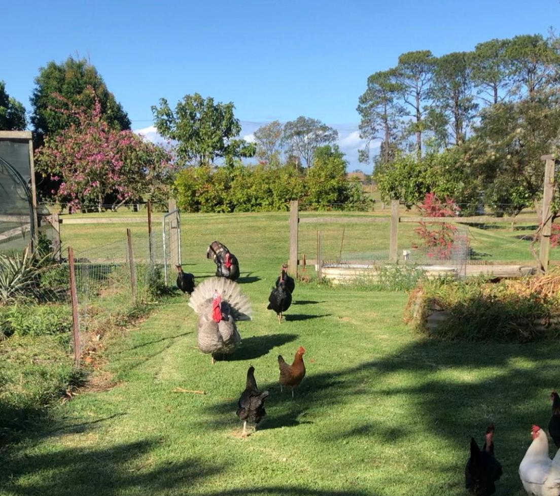 ホテル Bird Song Farm Hat Head エクステリア 写真